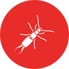 earwig icon