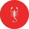 scorpion icon