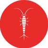 silverfish icon