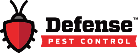 Pest Control Essex